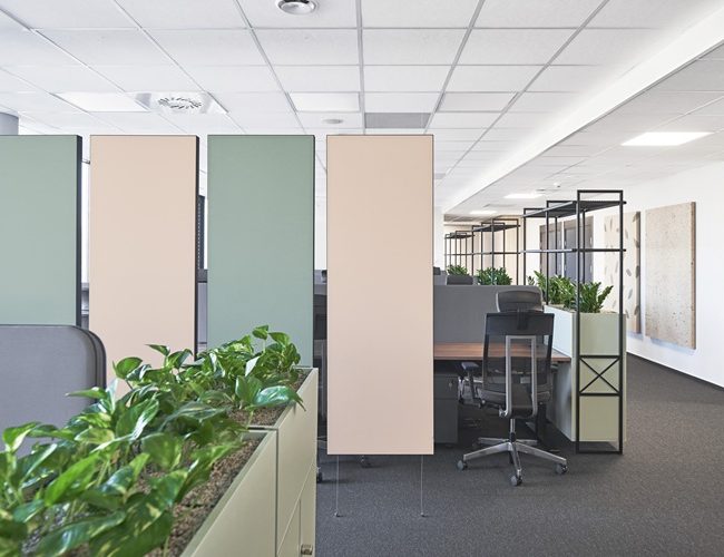 Rockfon Canva® Hanging divider